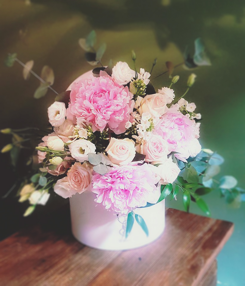 rose bianche fiori gallarate ellirose shadowplaystudio
